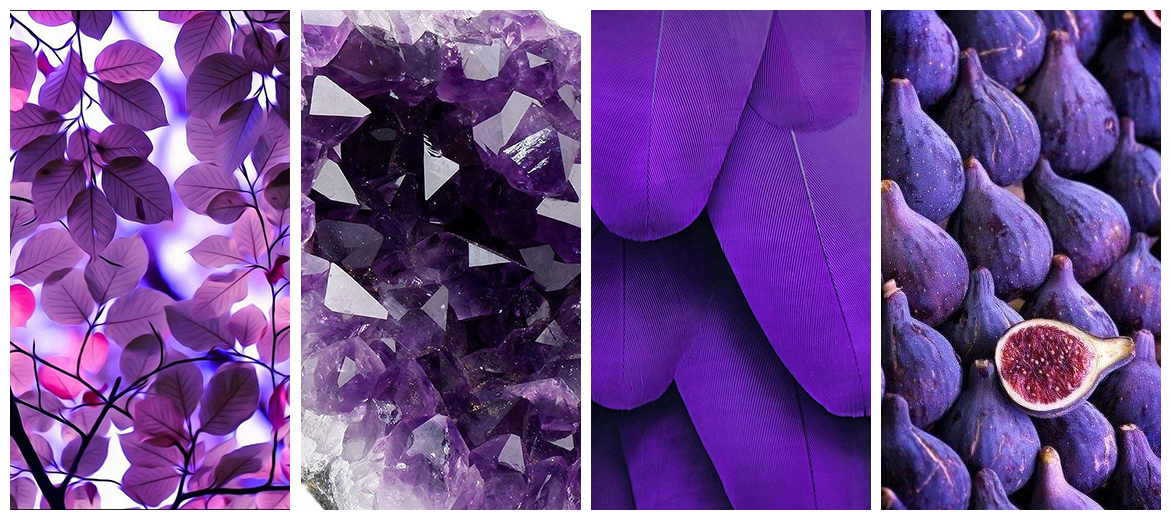 Fotos en tonos Ultraviolet Pantone